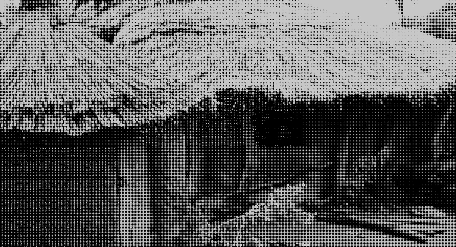 Os Kolia Biama — main image